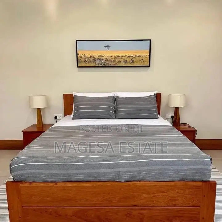 Furnished 2bdrm Apartment in Kariakoo for rent
