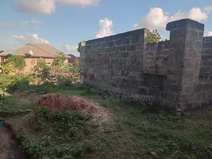 Pagale for Sale at Kitunda Kiyomboi