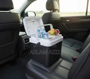 Geepas Portable Car Fridge