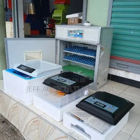 30 Mayai Incubator Automatic