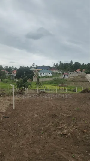 Mradi Wa Viwanja