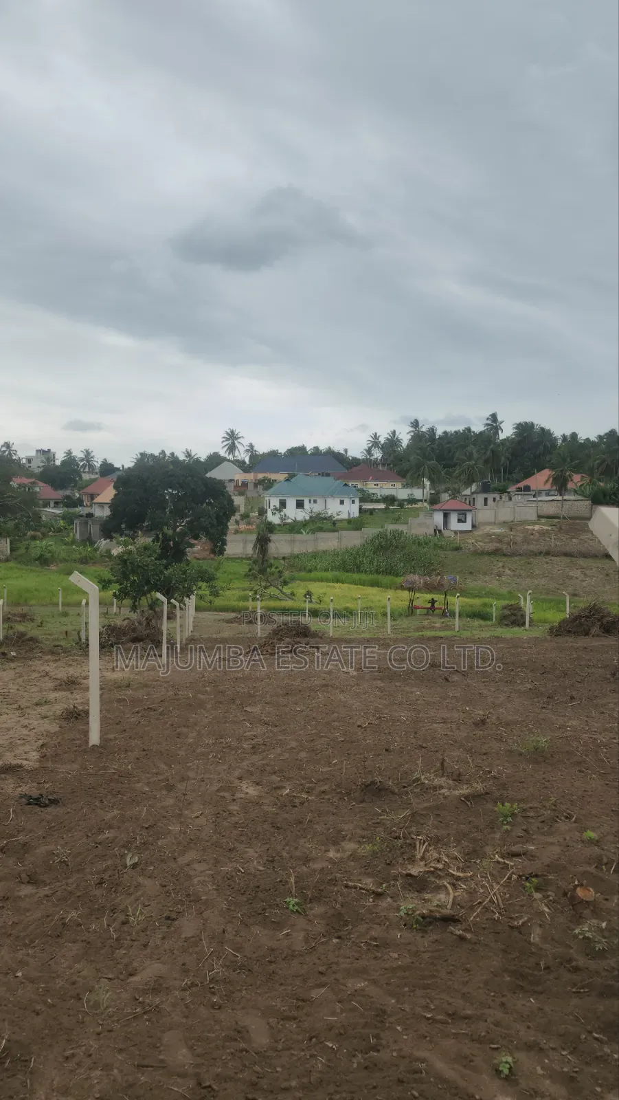 Mradi Wa Viwanja