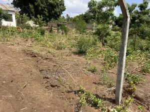 Kiwanja Madale Kwa Kawawa