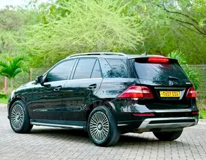 Mercedes-Benz M Class 2013 Black