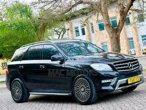 Mercedes-Benz M Class 2013 Black