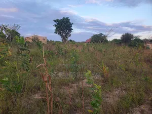 Kiwanja Kinauzwa Million 3 Kibaha Misugusugu Saeni