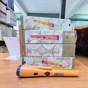 Gp Pointer