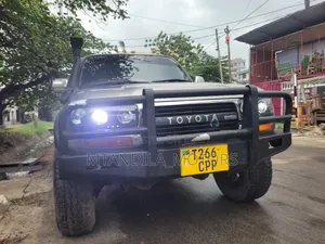 Toyota Land Cruiser 1998 Gray