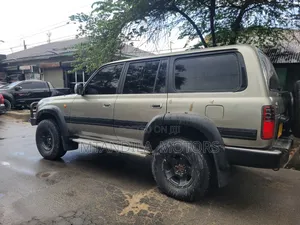 Toyota Land Cruiser 1998 Gray