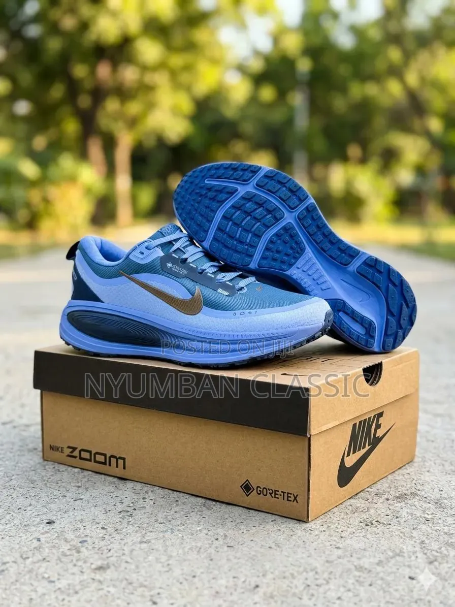Nike Vomero18 Shoes