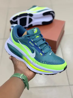 Nike Vomero18 Shoes