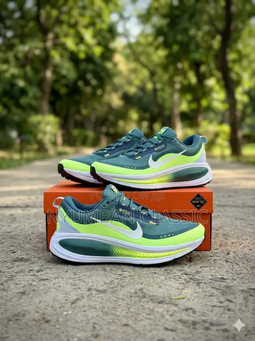 Nike Vomero18 Shoes