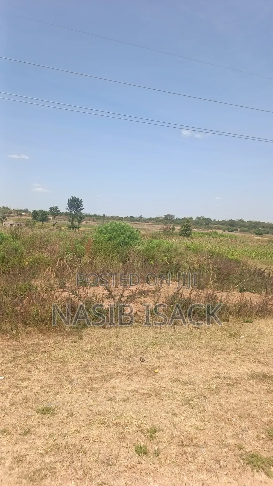 Plot for Sale
