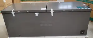 Hisense Freezer 701litres