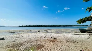 Plot Area SQM 7300 for Sale at Bagamoyo Zinga