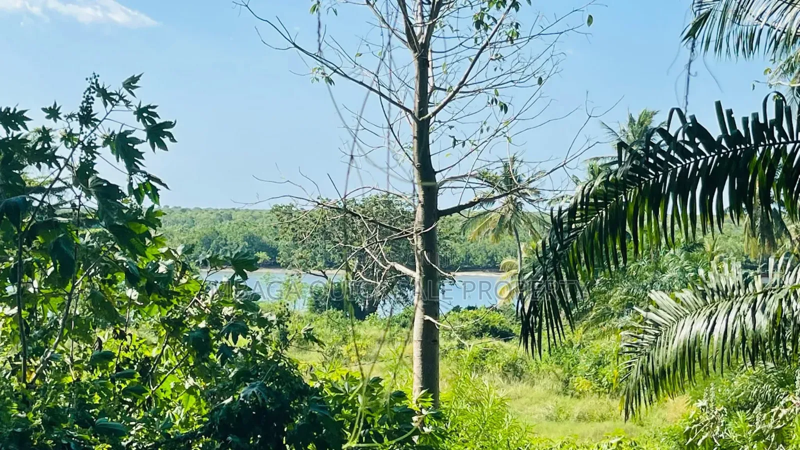 Plot Area SQM 7300 for Sale at Bagamoyo Zinga
