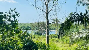 Plot Area SQM 7300 for Sale at Bagamoyo Zinga
