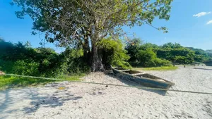 Plot Area SQM 7300 for Sale at Bagamoyo Zinga