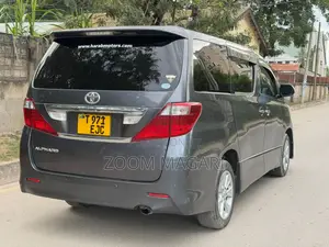 Toyota Alphard 2006 Gray