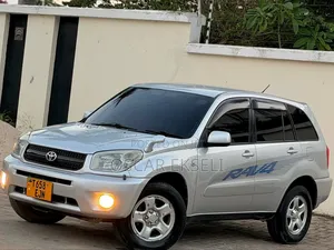 Toyota RAV4 2005 Silver