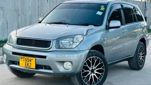 Toyota RAV4 2004 Gray
