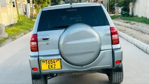 Toyota RAV4 2004 Gray