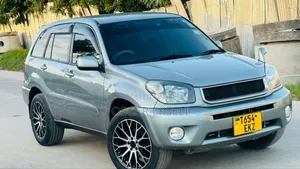 Toyota RAV4 2004 Gray