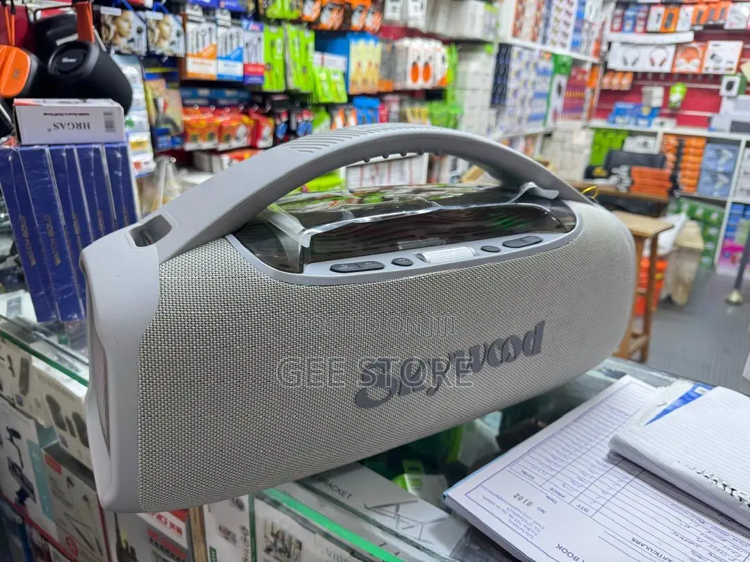 Skywood Speaker With Mic