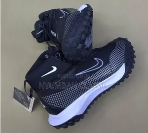 Nike Goretex Shoes