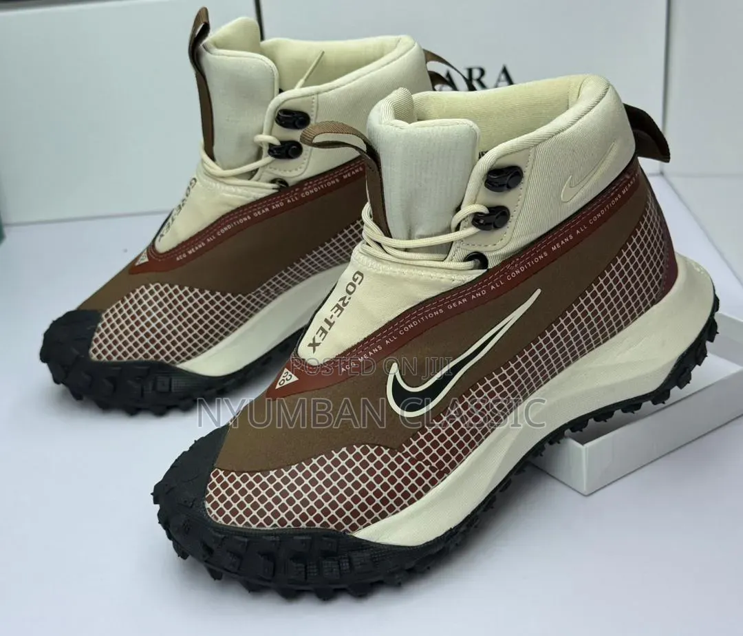Nike Goretex Shoes