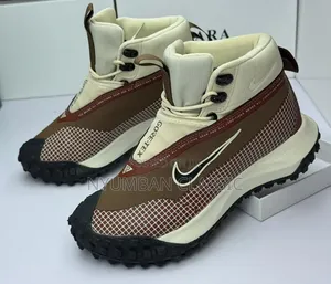 Nike Goretex Shoes