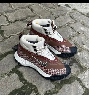 Nike Goretex Shoes