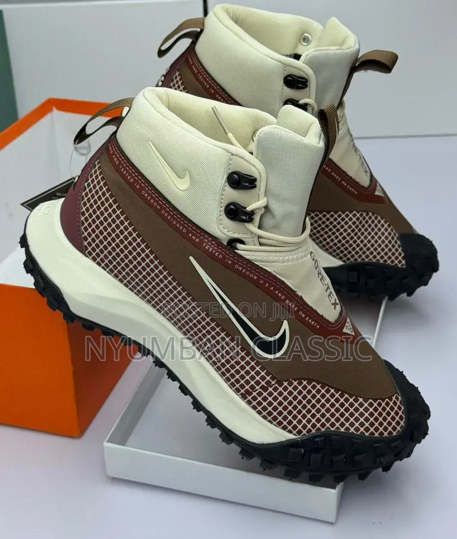 Nike Goretex Shoes