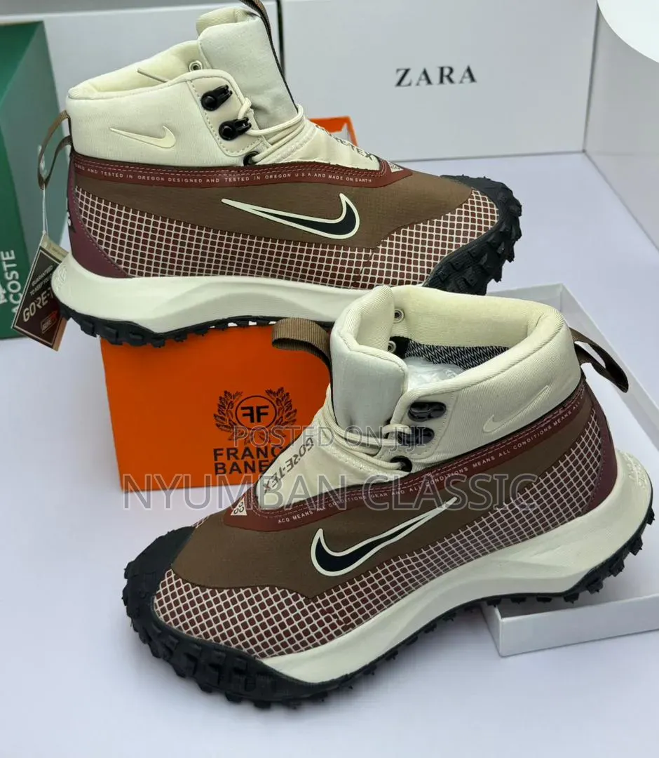 Nike Goretex Shoes