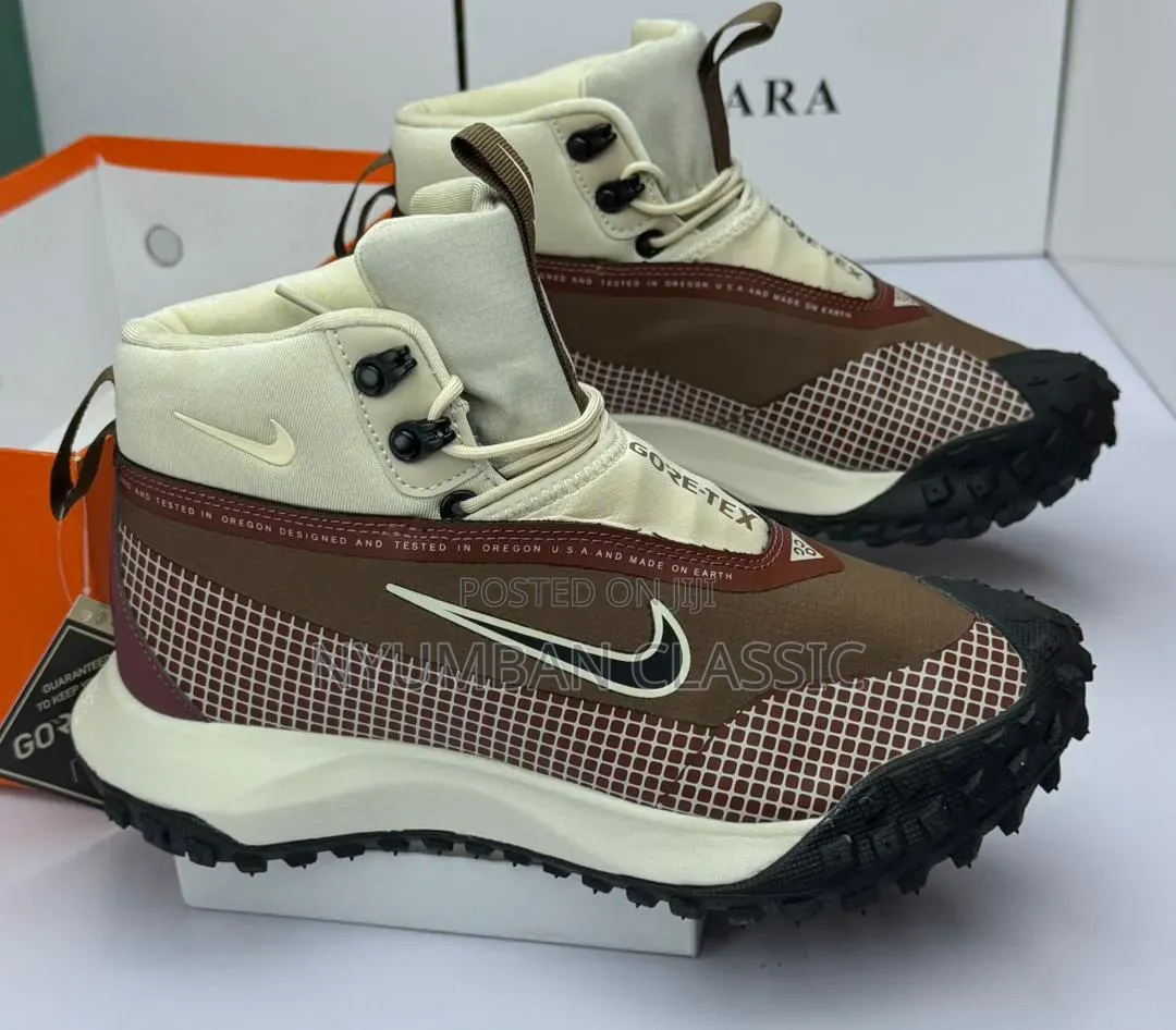 Nike Goretex Shoes