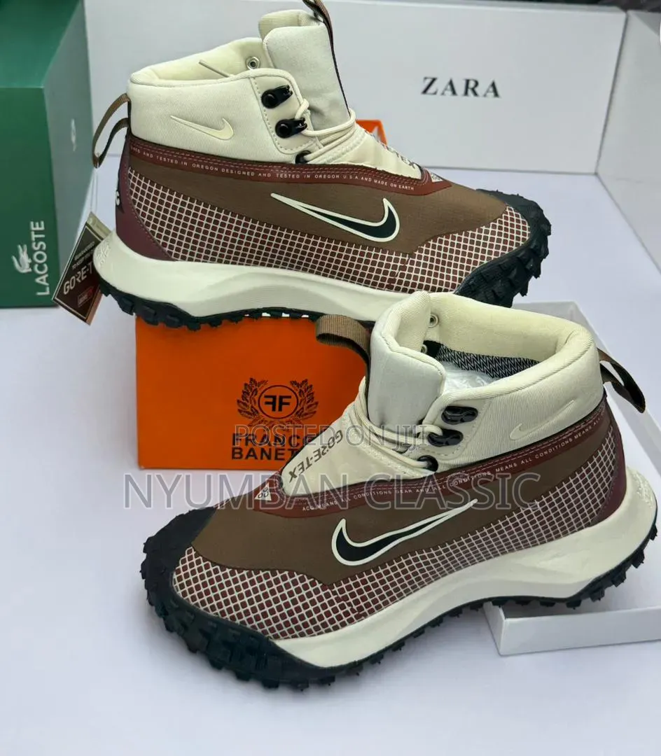 Nike Goretex Shoes