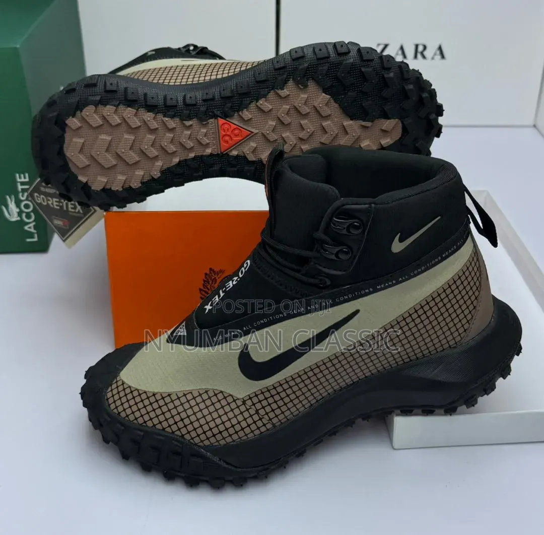Nike Goretex Shoes