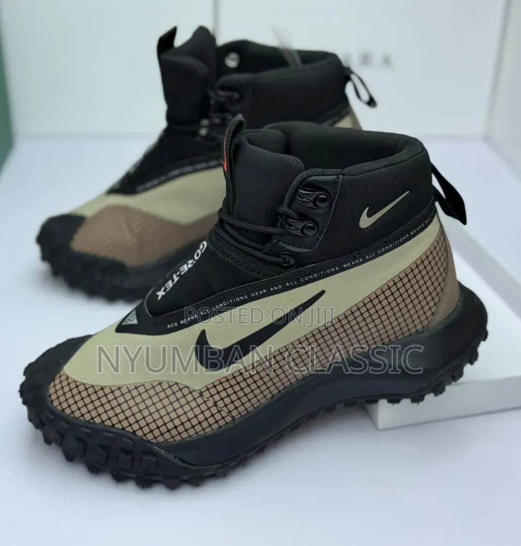 Nike Goretex Shoes