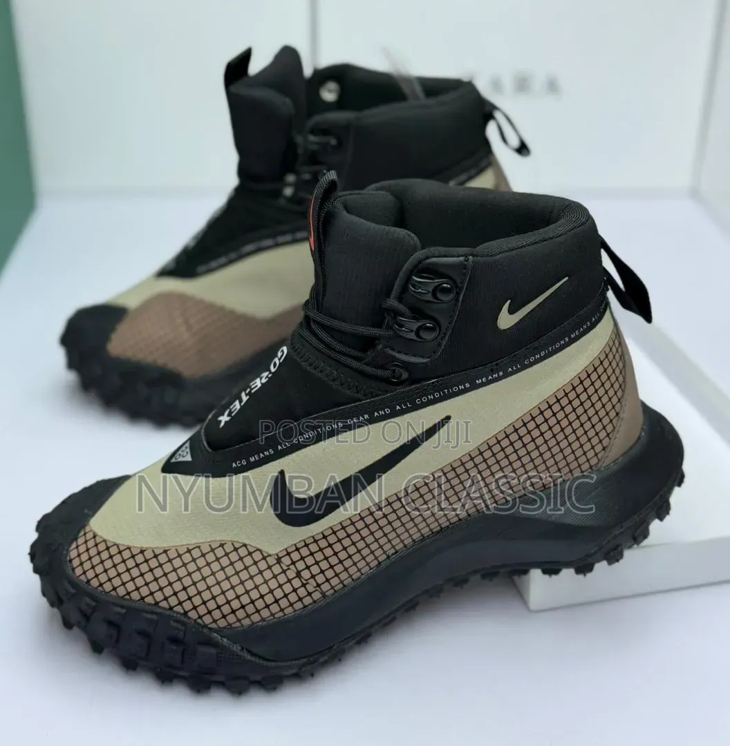 Nike Goretex Shoes