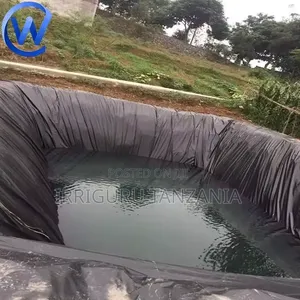 Fish Sheet