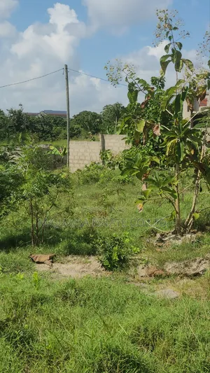 Kiwanja Mbopo