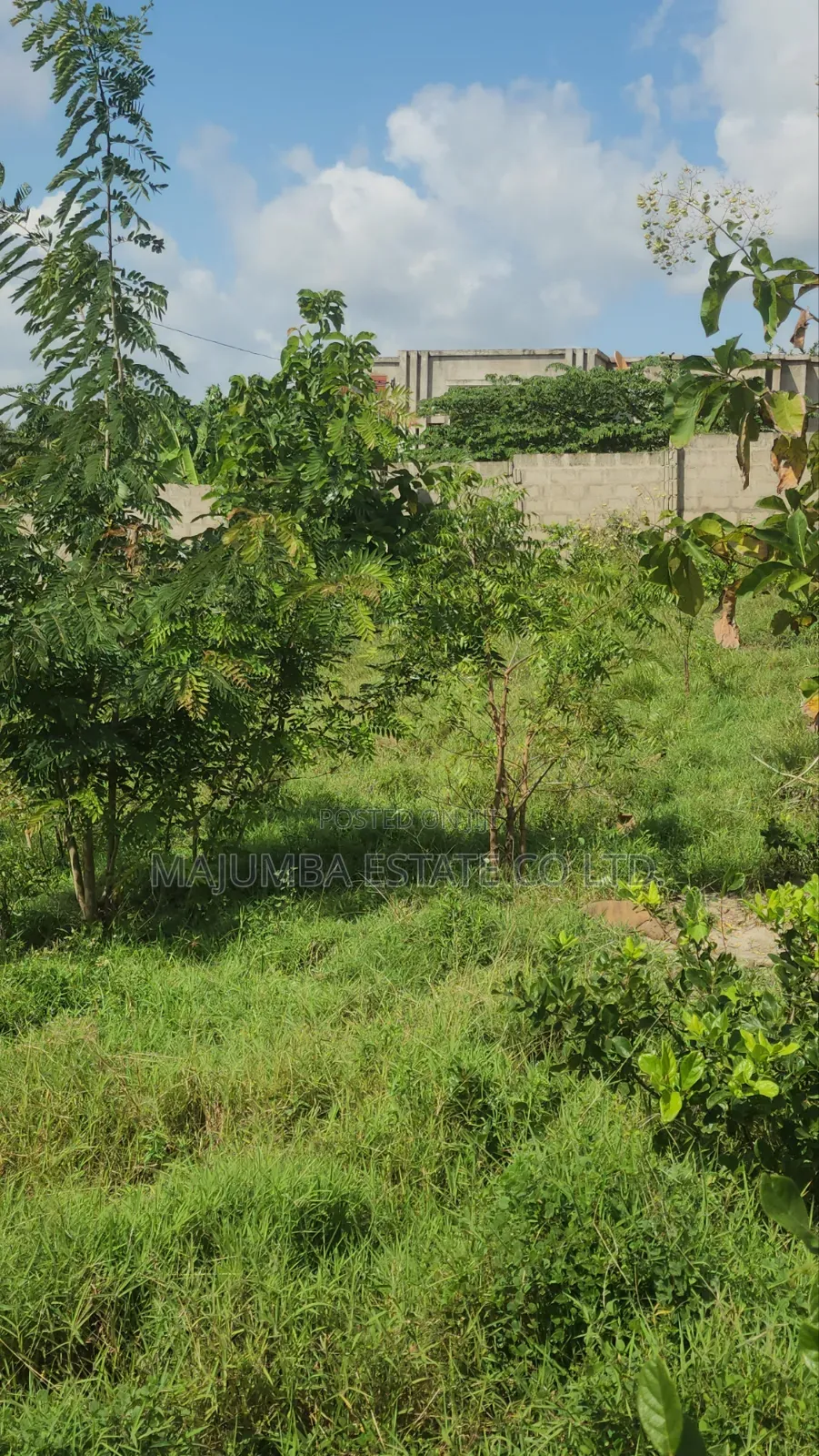 Kiwanja Mbopo