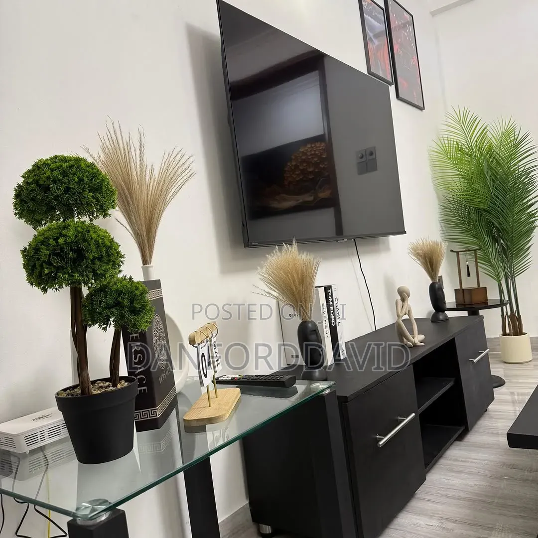 Furnished 2bdrm Apartment in Kahwa Real Estate, Sinza for rent