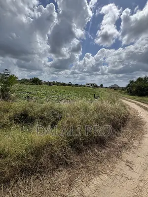 Kiwanja Kinauzwa Gezaulole Kigamboni