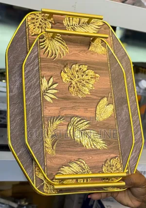 2pcs Classic Trays