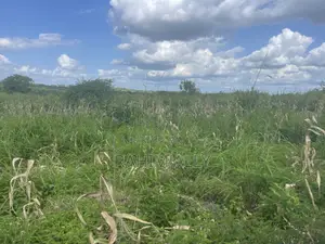Shamba Linauzwa Kiwangwa Bago Lenye Hati Miliki