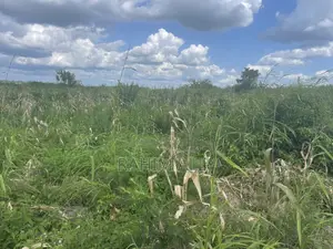 Shamba Linauzwa Kiwangwa Bago Lenye Hati Miliki