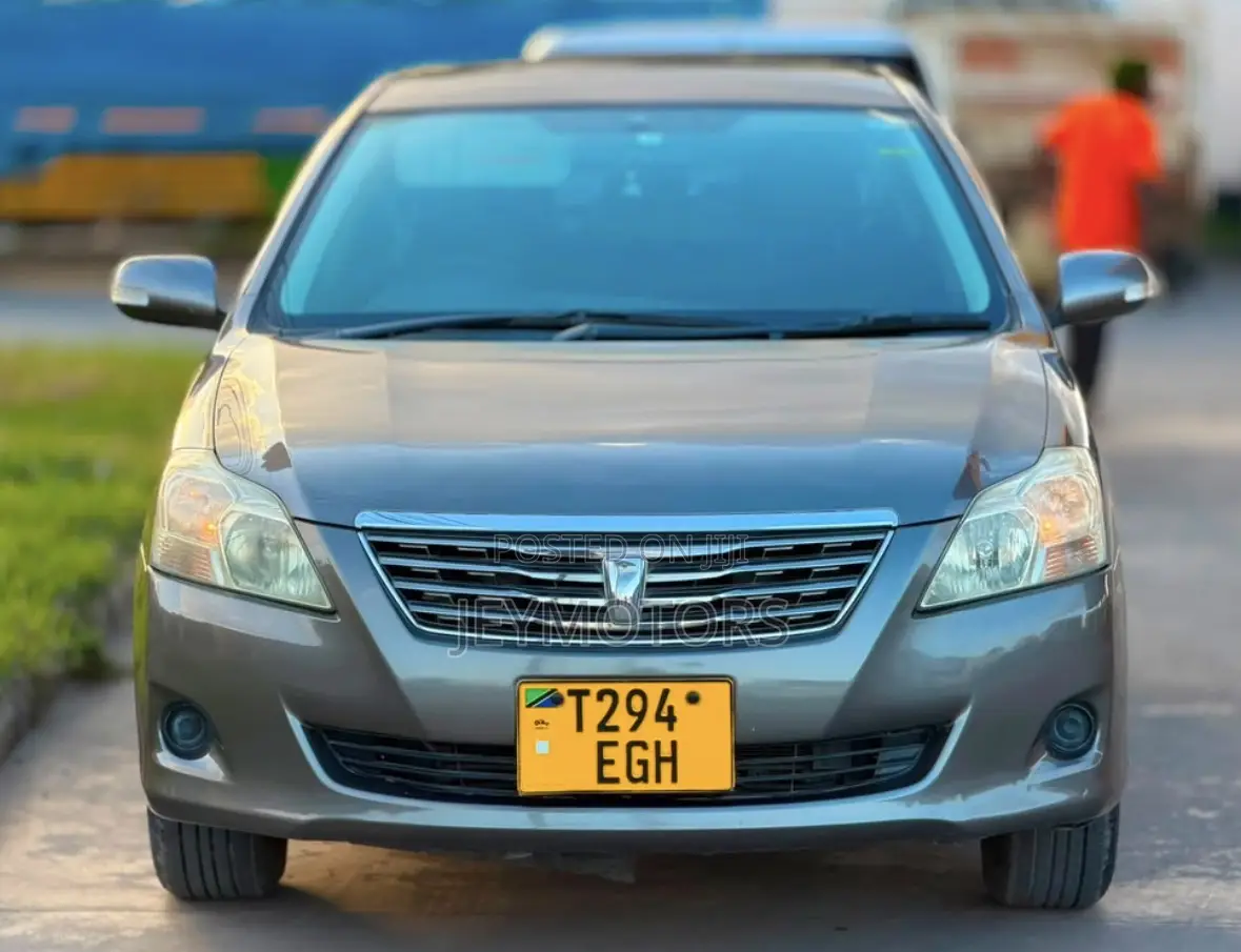 Toyota Premio 2009 Gray