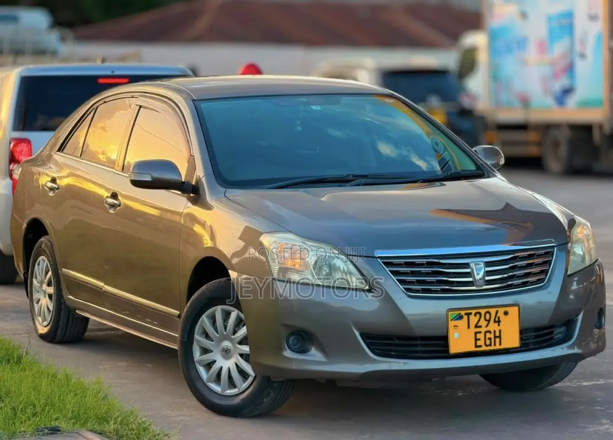 Toyota Premio 2009 Gray