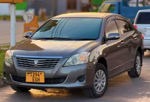 Toyota Premio 2009 Gray